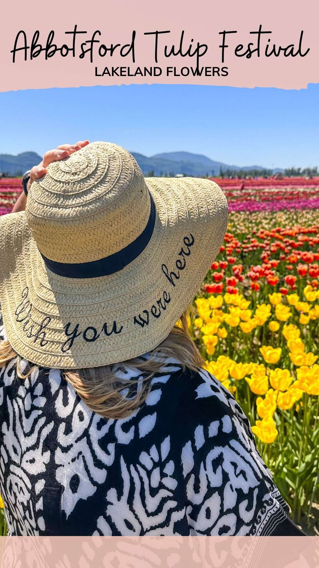 Where to Stay in Kimberley, BC Girl on the Go Travel Adventures