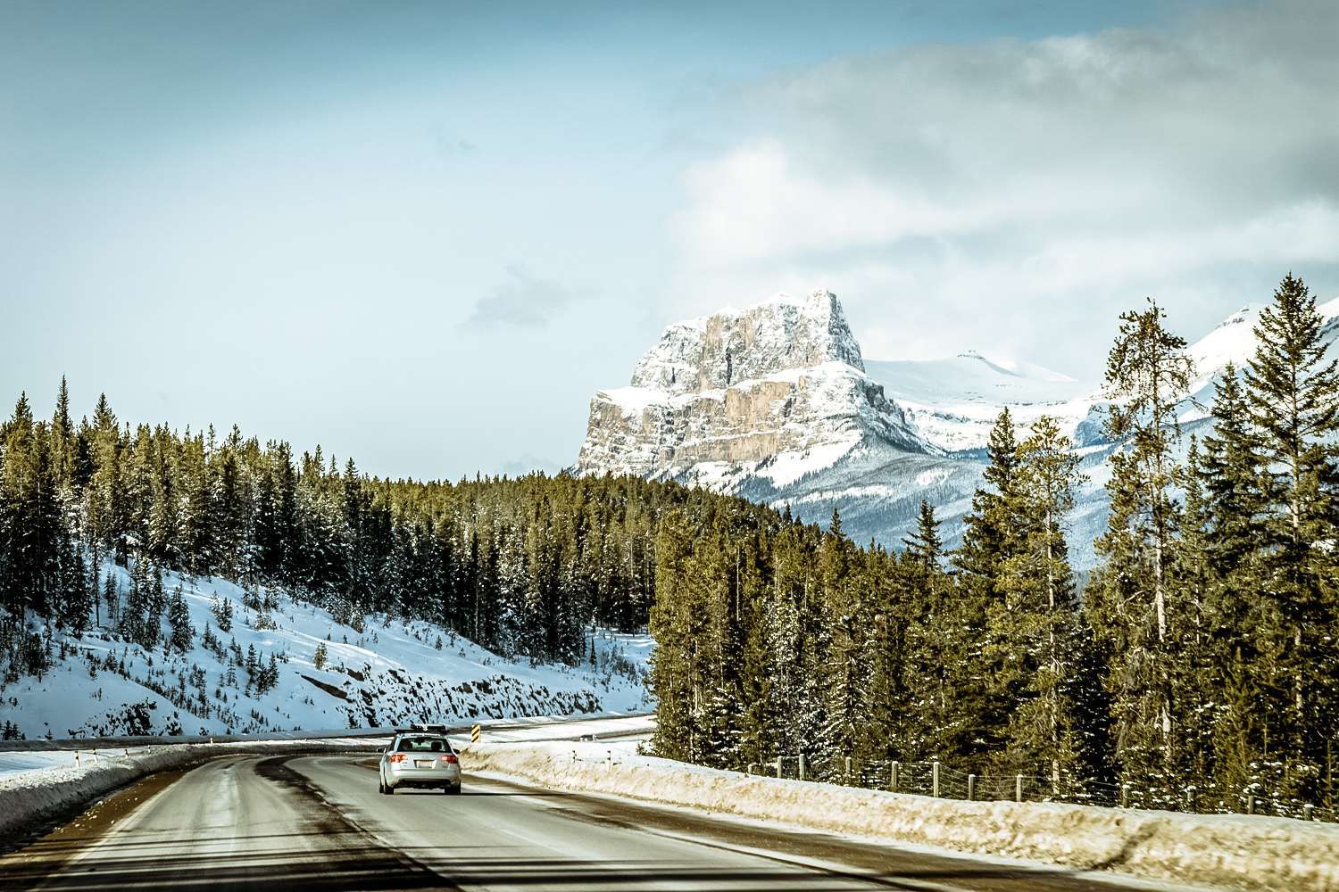 Jasper in the winter